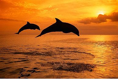 玩家自制资料片规模MOD《辐射：伦敦》发布新视频